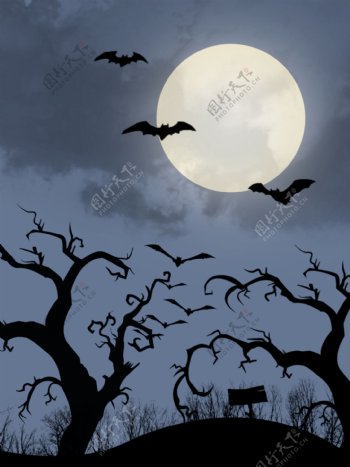 月亮蝙蝠扁平简约背景