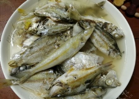 杂海鱼汤