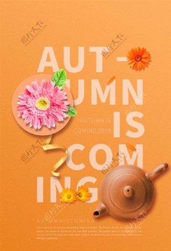 秋季菊花茶海报