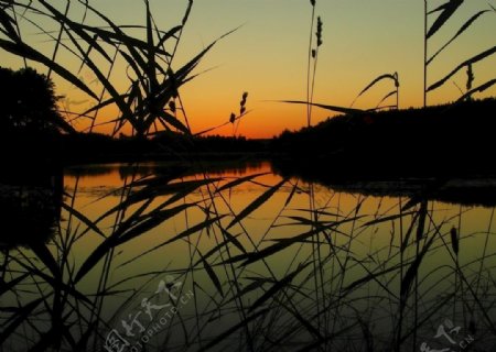 湖边的夕阳