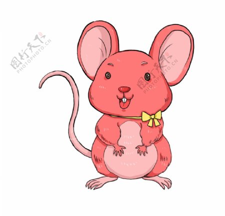 红色老鼠