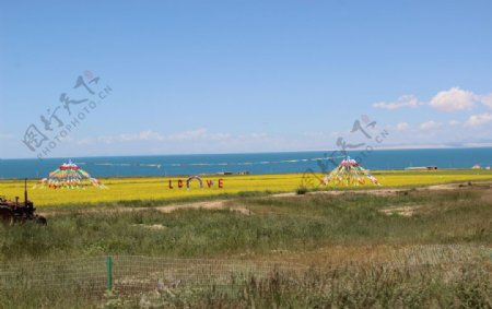 青海湖油菜花花海湖面