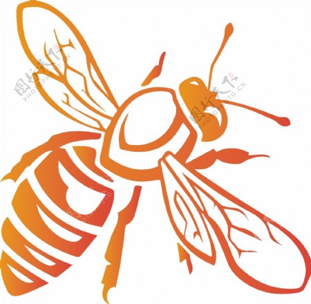蜜蜂矢量图形
