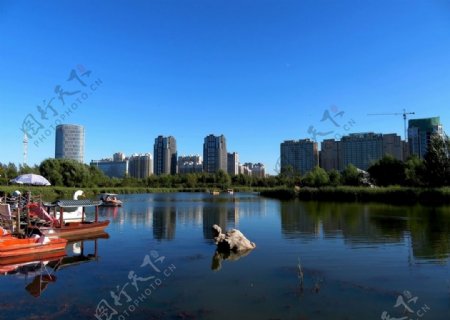 哈尔滨丁香公园风景