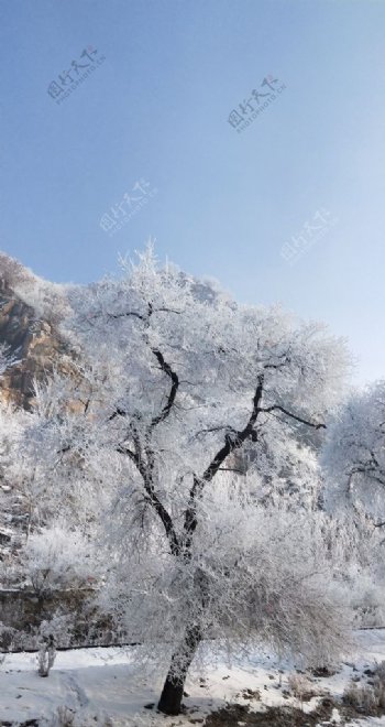 吉林雾凇雪景