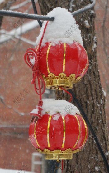 红灯笼雪景