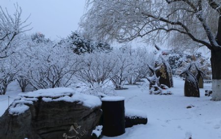 冬雪地景