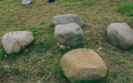 草地上的大石头