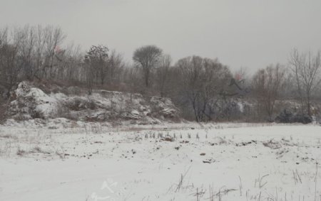 雪景