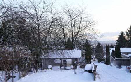 雪冬天雪景雪后房子