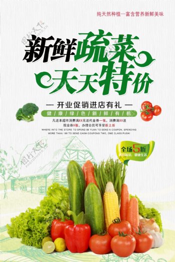 新鲜蔬菜天天特价开业促销