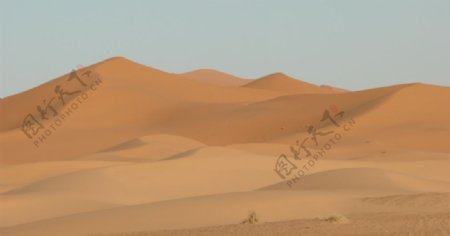 荒凉的沙漠景观