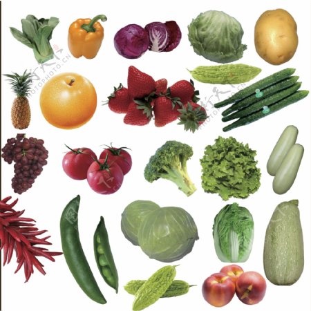 水果蔬菜水果有机蔬菜