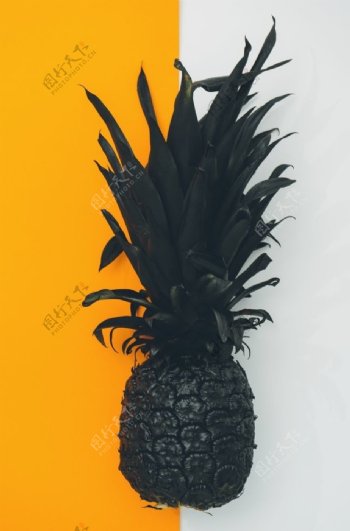 菠萝设计黑菠萝