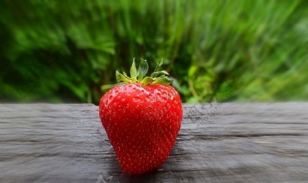 草莓草莓特写草莓摆拍夏天