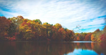 秋季湖泊和树木美景高清