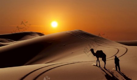 日落沙漠