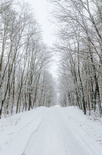 雪景道路