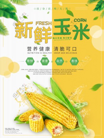 新鲜玉米海报