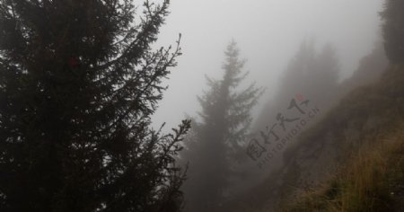 山林中的雾气