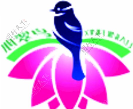 心翠鸟logo