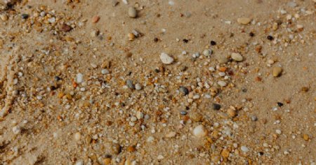 鹅卵石砂石