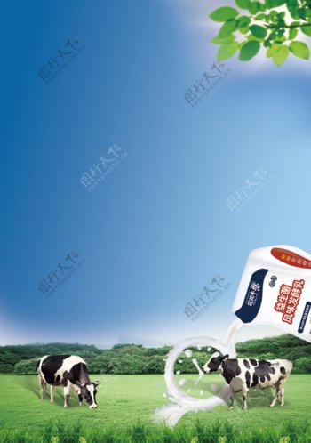 奶品促销草原奶牛蓝天