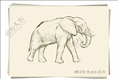 大象素描画
