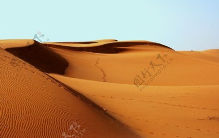 金色沙漠沙丘