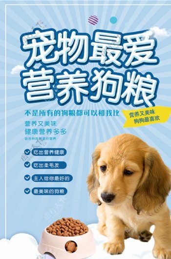 大气宠物最爱营养狗粮海报设计