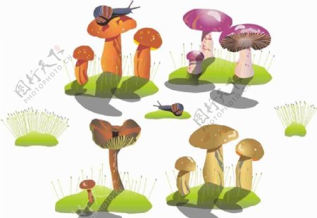 蘑菇蜗牛草坪