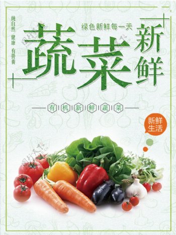 新鲜蔬菜宣传海报