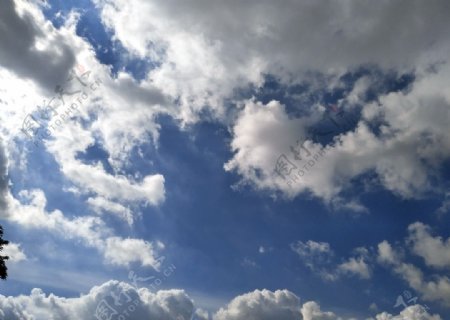 蓝天树云