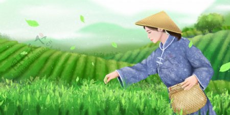 茶菜女性人物清新插画背景