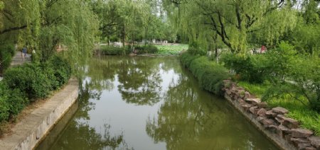 池塘小河小溪河流河道绿色景观