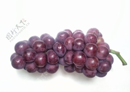 葡萄串提子夏季水果紫色