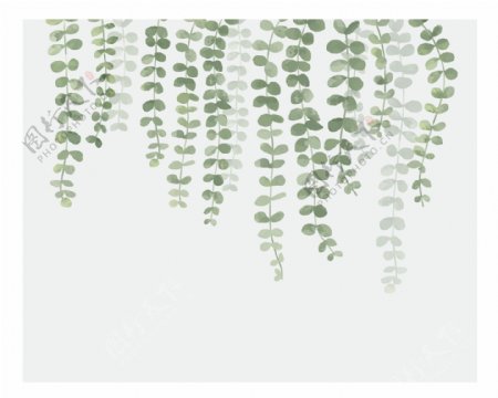 手绘素描植物叶子矢量背景墙