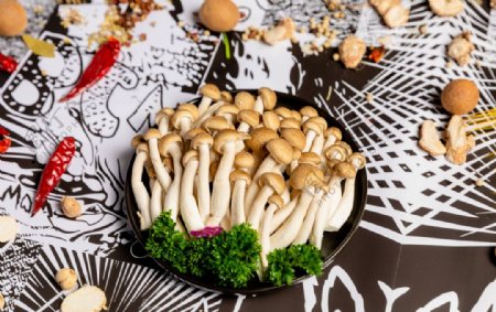 蘑菇菌类餐饮美食配菜
