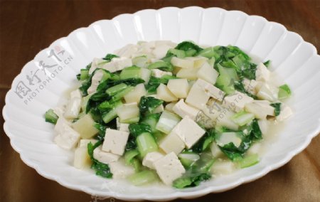 小白菜烩豆腐