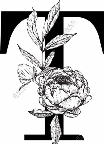 花卉装饰字母字母T