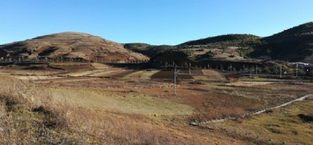 高山田野牧场风景