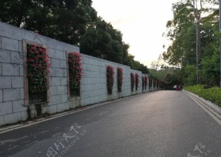 道路围墙花卉盆栽