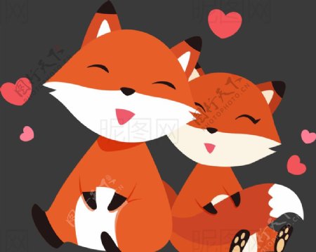 情侣狐狸图片