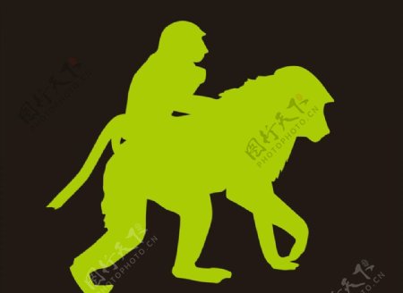 人猿猴子猩猩图片