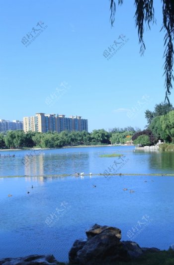 龙潭湖风景图片