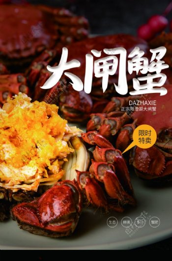 大闸蟹美食活动宣传海报素材图片