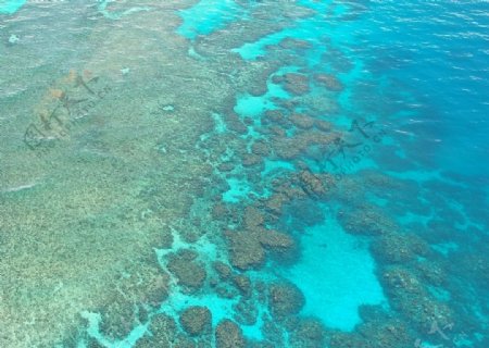 大堡礁图片