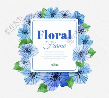 蓝色花卉框架图片