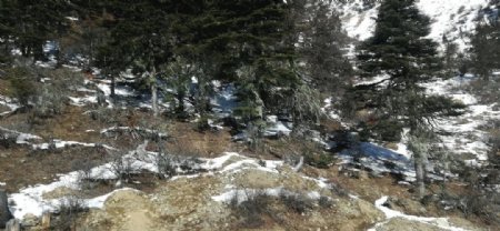 山野雪地风光图片
