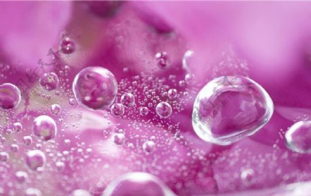 粉色气泡图片